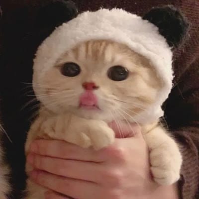 Trần Ngọc Diệp avatar